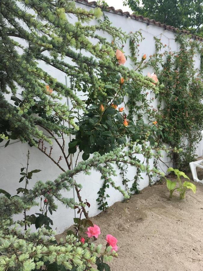 Casa Stavros Două Mai