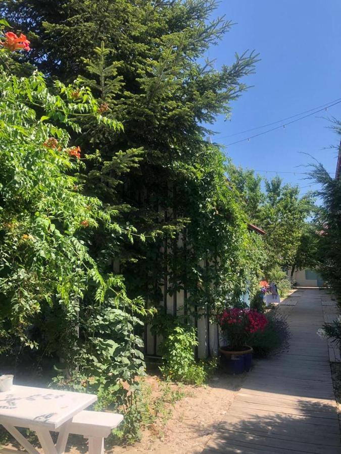 Casa Stavros Maison d'hôtes Două Mai